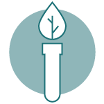 icon-desarrollo