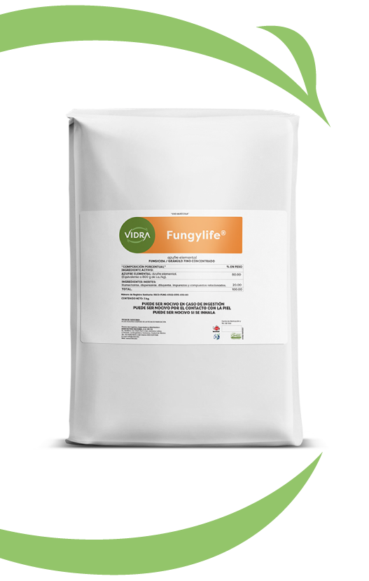 solucion-fungylife