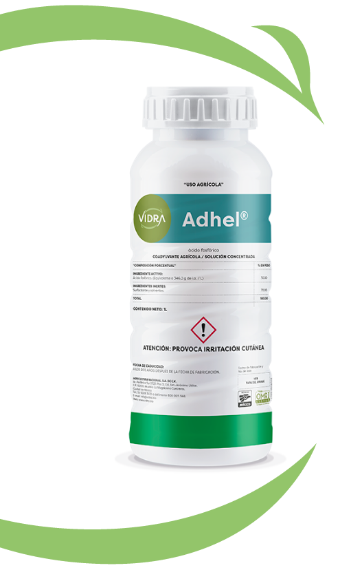 adhel-new