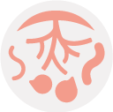 nematicida-logo