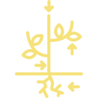 Kauzar-03 Kauzar-03