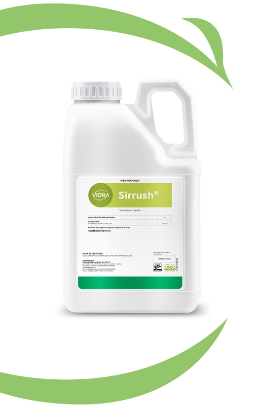 sirrush-1