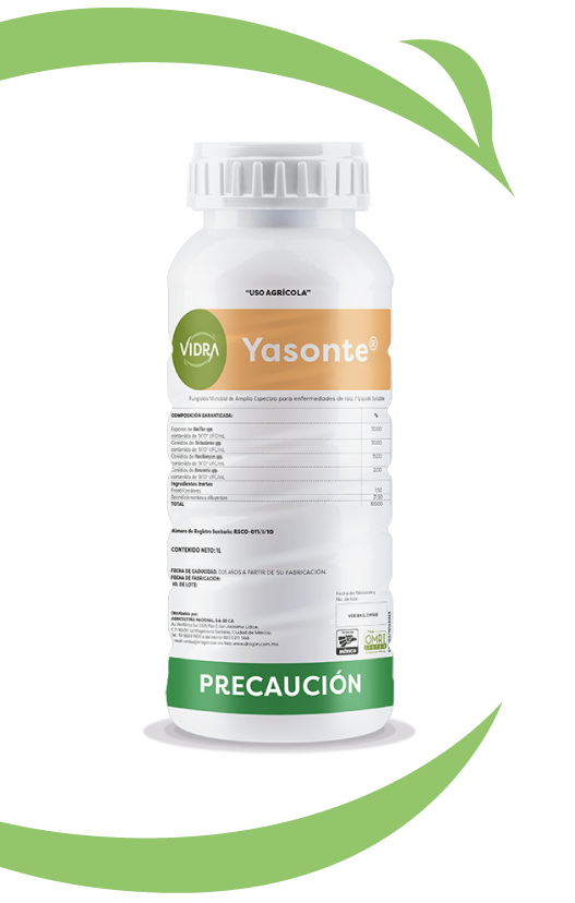 ysonte